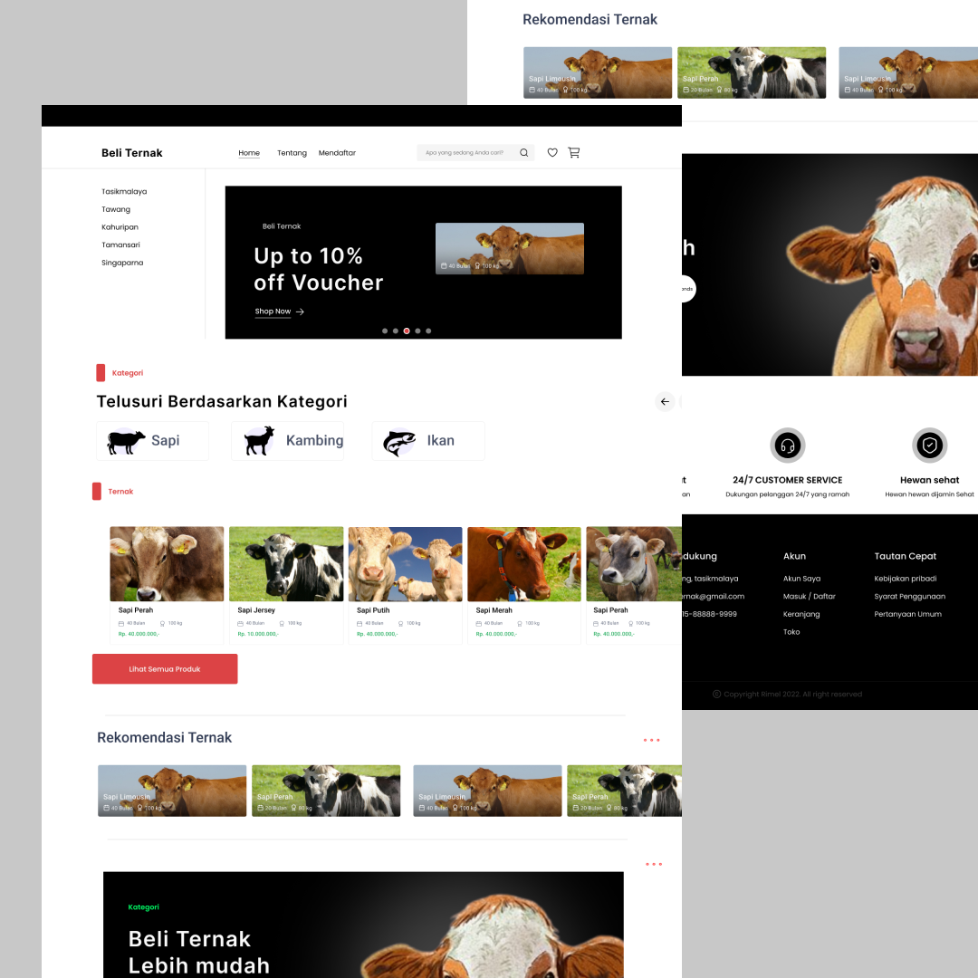portofolio-wordpress